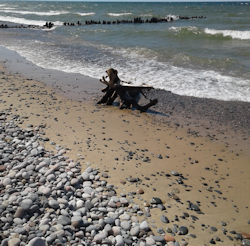 Crisp Pointe Beach July 2019