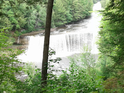 Upper Tahquamenon Falls Through Trees July 2019