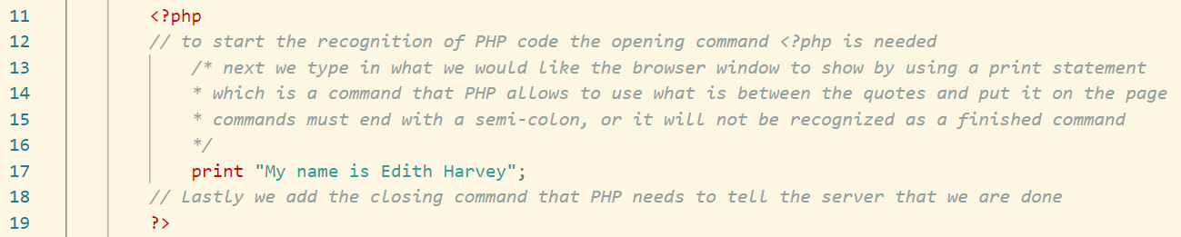 Image of PHP code that was added to the page